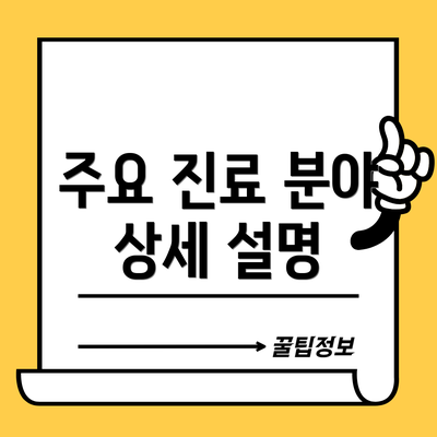 주요 진료 분야 상세 설명