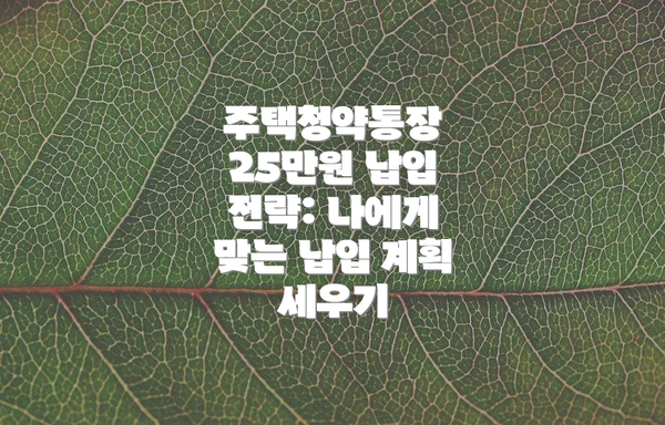 주택청약통장 25만원 납입 전략: 나에게 맞는 납입 계획 세우기