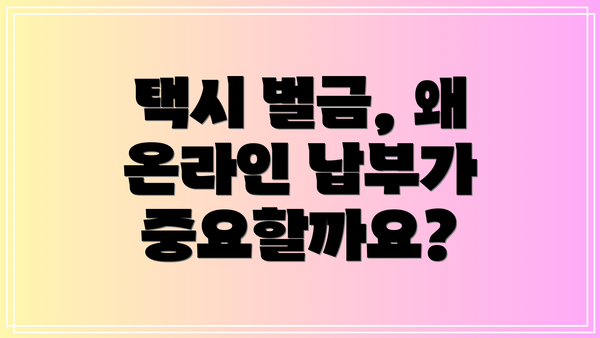 택시 벌금, 왜 온라인 납부가 중요할까요?