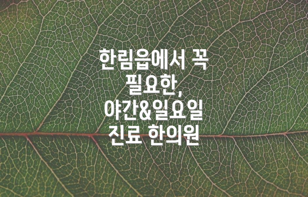 한림읍에서 꼭 필요한, 야간&일요일 진료 한의원