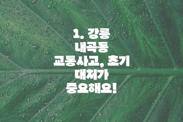 1. 강릉 내곡동 교통사고, 초기 대처가 중요해요!