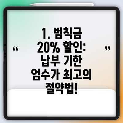 1. 범칙금 20% 할인: 납부 기한 엄수가 최고의 절약법!