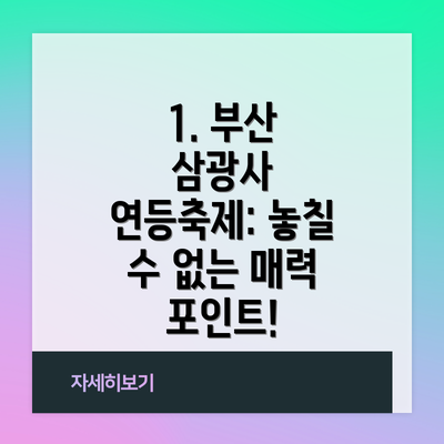 1. 부산 삼광사 연등축제: 놓칠 수 없는 매력 포인트!