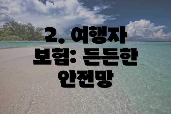 2. 여행자 보험: 든든한 안전망