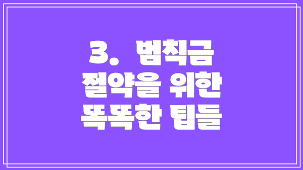3.  범칙금 절약을 위한 똑똑한 팁들