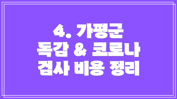 4. 가평군 독감 & 코로나 검사 비용 정리