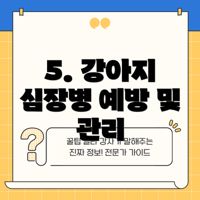 5. 강아지 심장병 예방 및 관리