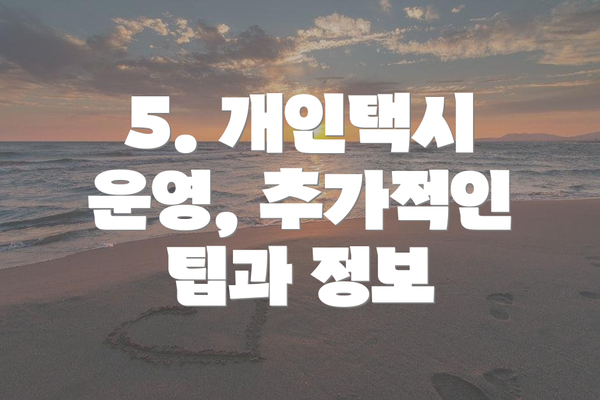 5. 개인택시 운영, 추가적인 팁과 정보