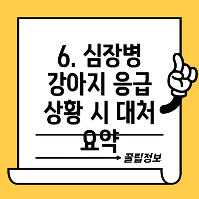 6. 심장병 강아지 응급 상황 시 대처 요약