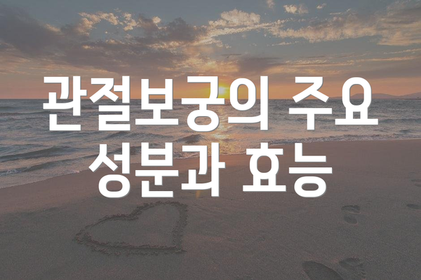 관절보궁의 주요 성분과 효능