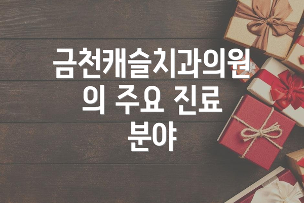 금천캐슬치과의원의 주요 진료 분야