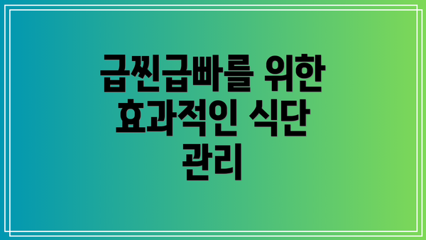 급찐급빠를 위한 효과적인 식단 관리