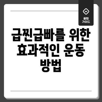 급찐급빠를 위한 효과적인 운동 방법