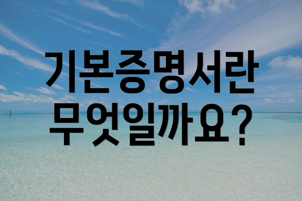 기본증명서란 무엇일까요?