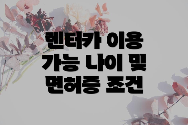 렌터카 이용 가능 나이 및 면허증 조건