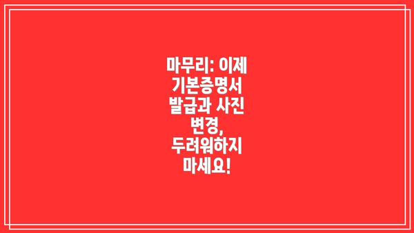 마무리: 이제 기본증명서 발급과 사진 변경, 두려워하지 마세요!