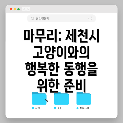 마무리: 제천시 고양이와의 행복한 동행을 위한 준비
