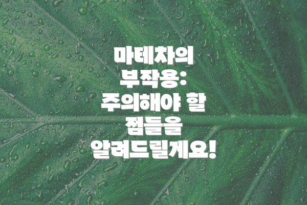 마테차의 부작용:  주의해야 할 점들을 알려드릴게요!