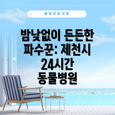 밤낮없이 든든한 파수꾼: 제천시 24시간 동물병원