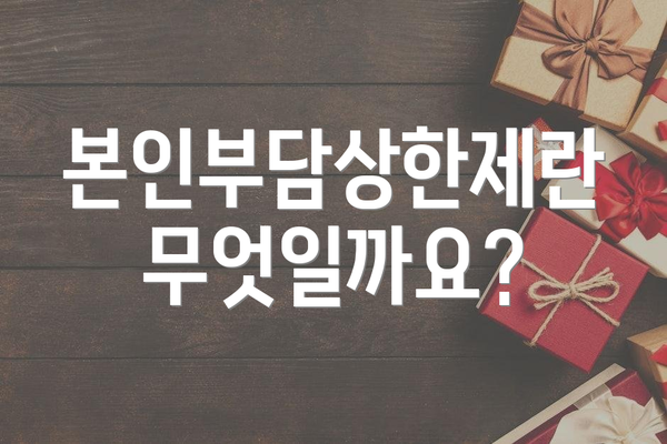 본인부담상한제란 무엇일까요?