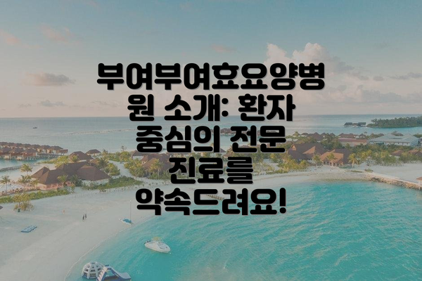 부여부여효요양병원 소개: 환자 중심의 전문 진료를 약속드려요!