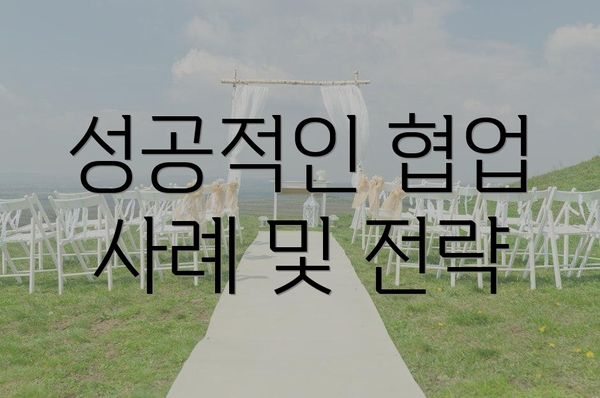 성공적인 협업 사례 및 전략