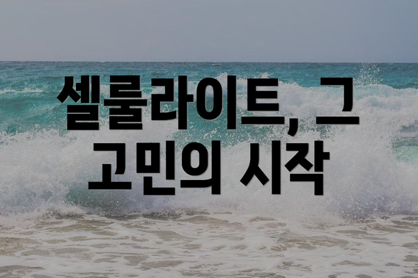 셀룰라이트, 그 고민의 시작