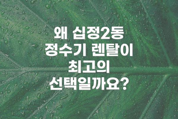 왜 십정2동 정수기 렌탈이 최고의 선택일까요?