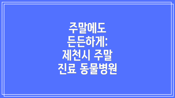 주말에도 든든하게: 제천시 주말 진료 동물병원