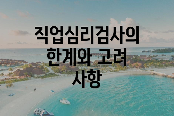 직업심리검사의 한계와 고려 사항