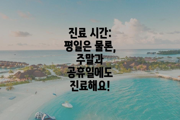 진료 시간: 평일은 물론, 주말과 공휴일에도 진료해요!