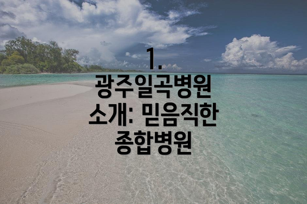1. 광주일곡병원 소개: 믿음직한 종합병원
