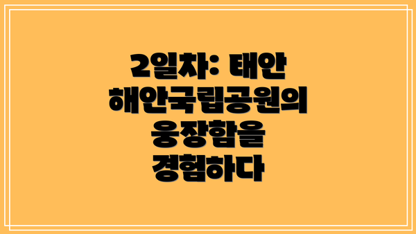 2일차: 태안 해안국립공원의 웅장함을 경험하다