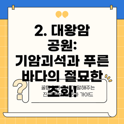 2. 대왕암 공원: 기암괴석과 푸른 바다의 절묘한 조화!