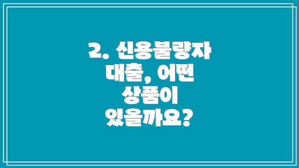 2. 신용불량자 대출, 어떤 상품이 있을까요?