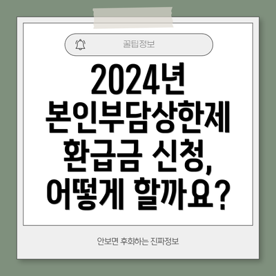 2024년 본인부담상한제 환급금 신청, 어떻게 할까요?