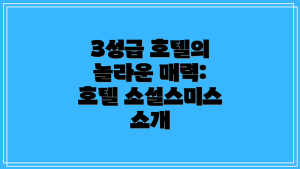 3성급 호텔의 놀라운 매력: 호텔 소설스미스 소개