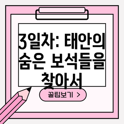 3일차: 태안의 숨은 보석들을 찾아서