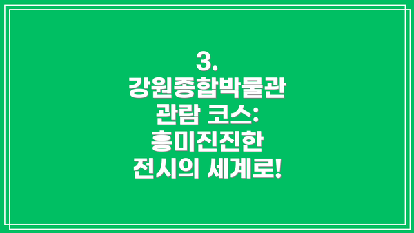 3. 강원종합박물관 관람 코스: 흥미진진한 전시의 세계로!