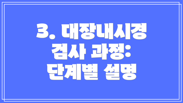 3. 대장내시경 검사 과정:  단계별 설명