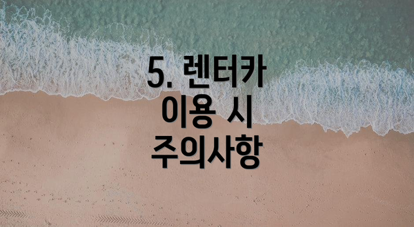 5. 렌터카 이용 시 주의사항