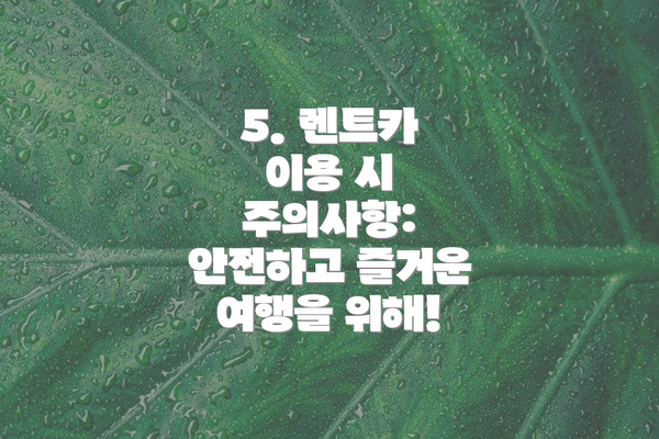 5. 렌트카 이용 시 주의사항: 안전하고 즐거운 여행을 위해!