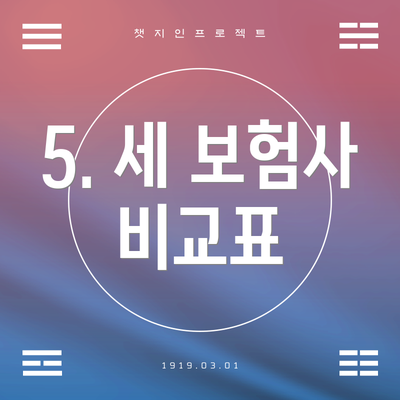 5. 세 보험사 비교표