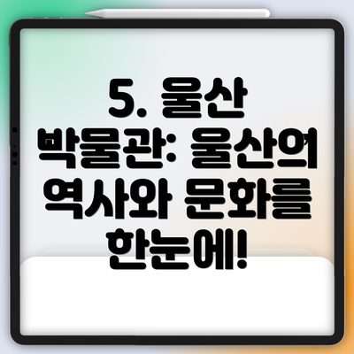5. 울산 박물관: 울산의 역사와 문화를 한눈에!