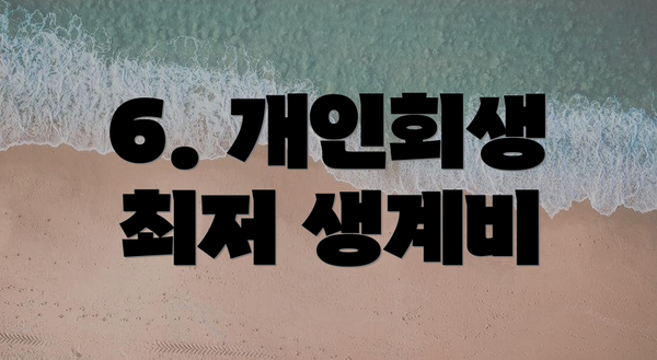 6. 개인회생 최저 생계비