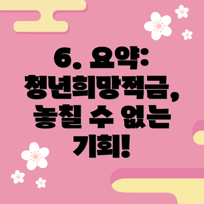 6. 요약: 청년희망적금, 놓칠 수 없는 기회!