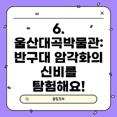 6. 울산대곡박물관: 반구대 암각화의 신비를 탐험해요!