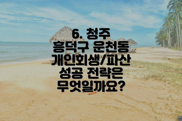 6. 청주 흥덕구 운천동 개인회생/파산 성공 전략은 무엇일까요?