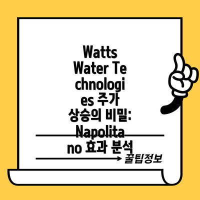 Watts Water Technologies 주식 투자 전략