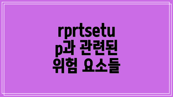rprtsetup과 관련된 위험 요소들